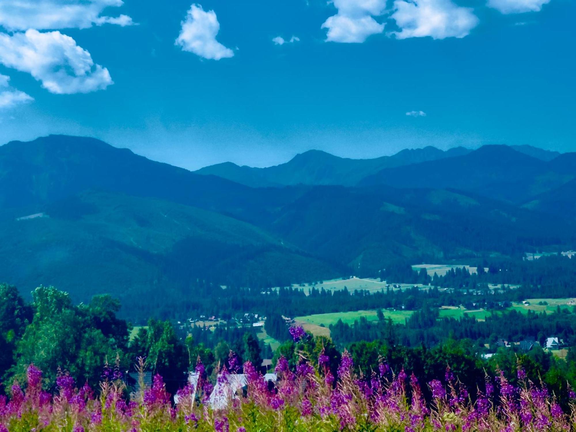 Goralska Chatka Kościelisko Exteriér fotografie